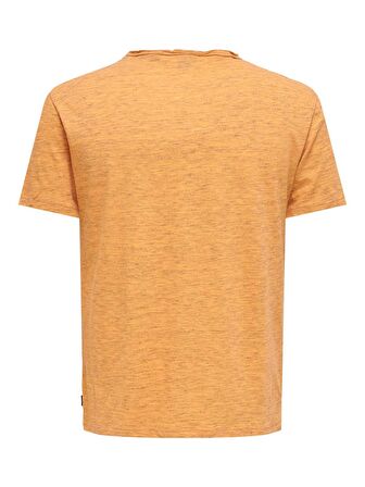 Only & Sons Erkek T-shirt SHORT SLEEVED T-SHIRT - 22005108