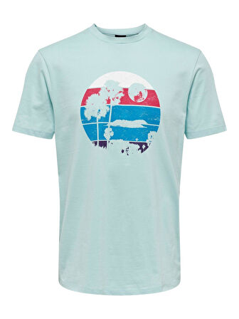 ONLY&SONS ONSGUNTHER REG SURF  T-SHIRT 