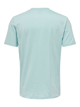 ONLY&SONS ONSGUNTHER REG SURF  T-SHIRT 