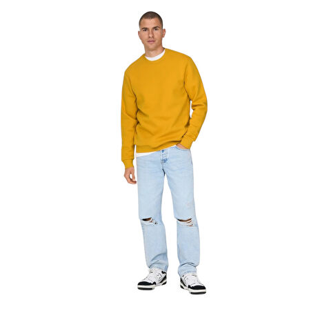 Erkek Sweatshirt 22018683