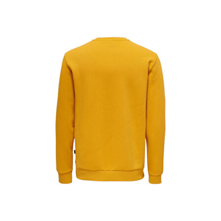 Erkek Sweatshirt 22018683