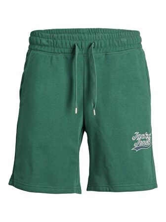 Jack & Jones Erkek Sweat Şort JPSTTREVOR SWEAT SHORTS12228758