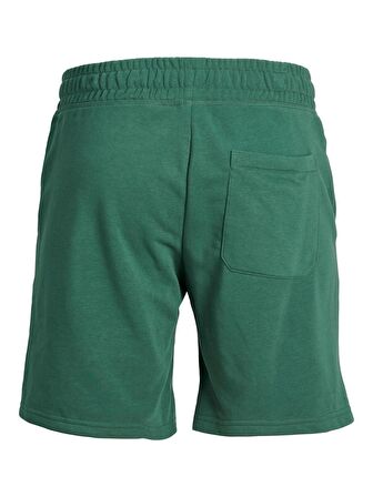 Jack & Jones Erkek Sweat Şort JPSTTREVOR SWEAT SHORTS12228758