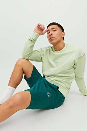 Jack & Jones Erkek Sweat Penye Günlük Şort- 12228647