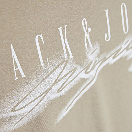Jack & Jones Erkek T-Shirt 12230179