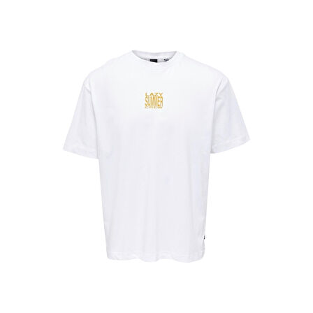 Erkek T-shirt 22025301