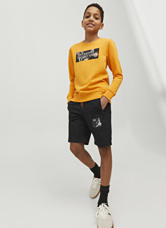 Jack & Jones Normal Bel Normal Siyah Erkek Şort 12237594