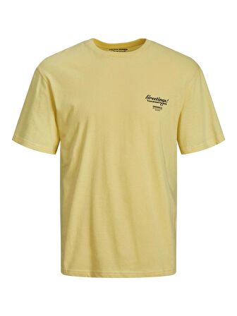 Jack & Jones Jorgreetings Tee Ss Crew Neck Tg Erkek T-Shirt