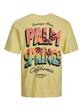 Jack & Jones Jorgreetings Tee Ss Crew Neck Tg Erkek T-Shirt