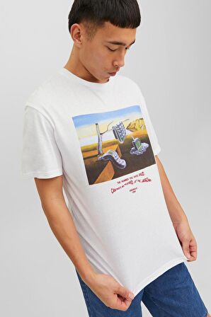 JORPRIZE TEE SS CREW NECK BEYAZ MULTI Erkek Kısa Kol T-Shirt