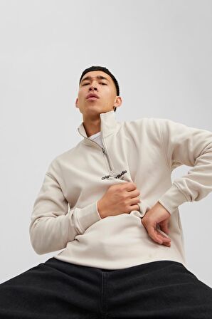 JACK&JONES JORVESTERBRO SWEAT QUARTER ZIP HN SN BEJ