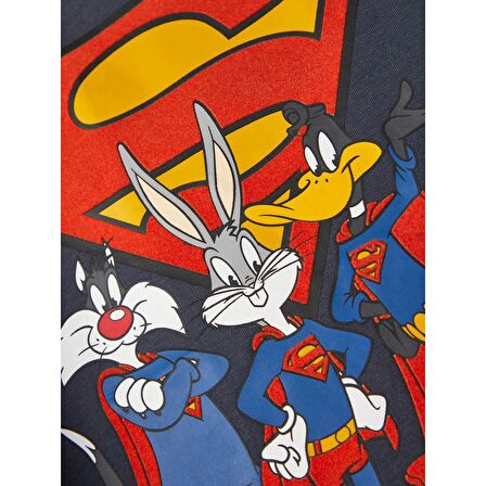 Name It Bisiklet Yaka Baskılı Antrasit Erkek Çocuk Sweatshirt 13221181