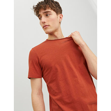 JJEBASHER TEE O-NECK SS ERKEK T-SHIRT