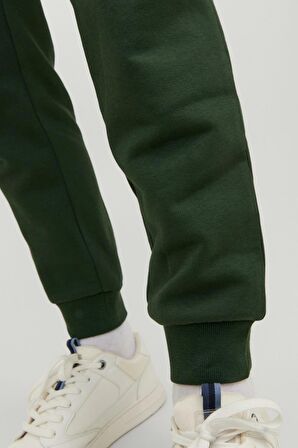 JPSTGORDON JJNEWSOFT SWEAT PANT GMS NOOS 