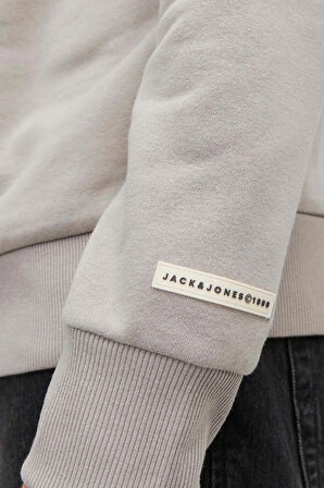 Jack & Jones Erkek Beware Baskılı Kapüşonlu Sweatshirt 12244219 Bej
