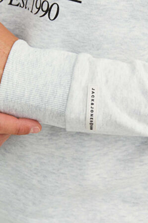 Jack & Jones Erkek Beware Baskılı Kapüşonlu Sweatshirt 12244219 Gri
