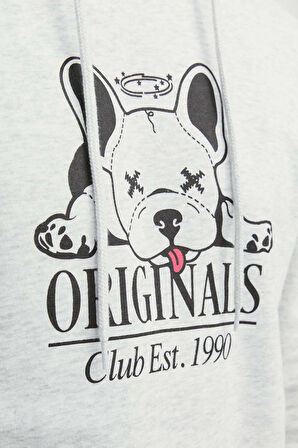 Jack & Jones Erkek Beware Baskılı Kapüşonlu Sweatshirt 12244219 Gri