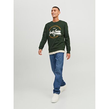 Jack Jones Sweatshirt Mikk