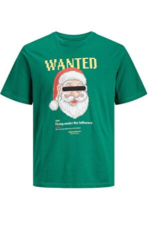 Jack & Jones Erkek Tişört 12246605