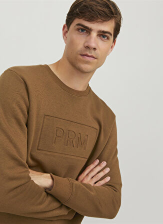 Jack & Jones Bisiklet Yaka Kahve Erkek Sweatshırt 12241106_JPRBLABLAKE SWEAT CREW NEC