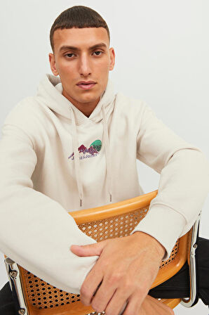 Jack & Jones Erkek Sweat 12242357