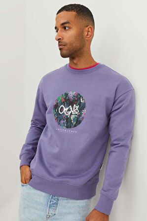 Jack & Jones Erkek Jorsılverlake Bisiklet Yaka Sweatshirt 12242366 Mor