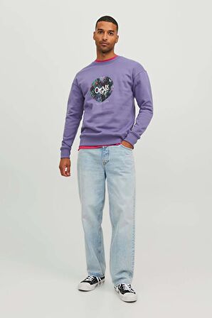 Jack & Jones Erkek Jorsılverlake Bisiklet Yaka Sweatshirt 12242366 Mor