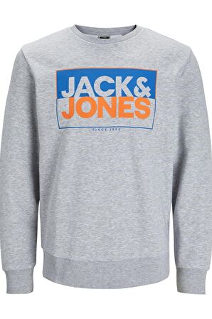 JACK&JONES JCOBOX SWEAT CREW NECK FST GRIMELANJ