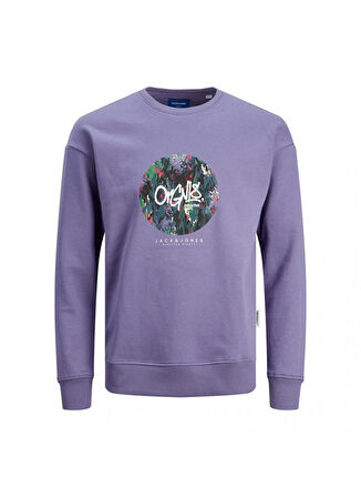 Jack & Jones Erkek Çocuk Mor Sweatshırt JORSILVERLAKE SWEAT CREW NECK JNR