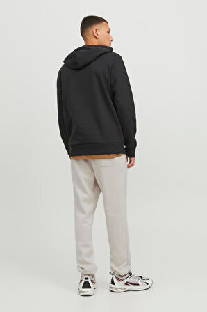 JPSTGORDON BRADLEY SWEAT PANT NOOS TAŞ 12249274 