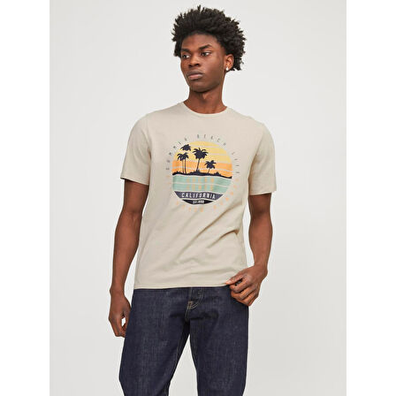 JJSUMMER VIBE TEE SS CREW NECK LN ERKEK T-SHIRT