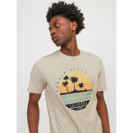 JJSUMMER VIBE TEE SS CREW NECK LN ERKEK T-SHIRT