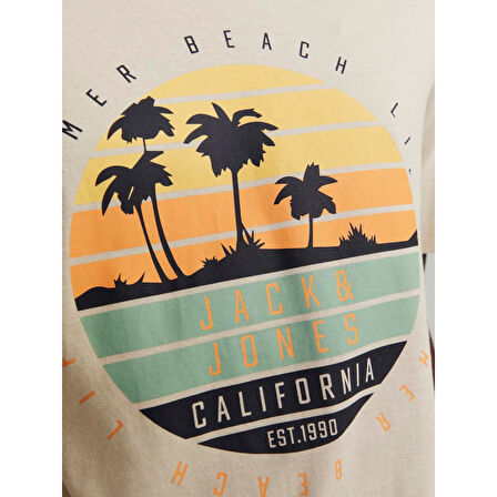 JJSUMMER VIBE TEE SS CREW NECK LN ERKEK T-SHIRT