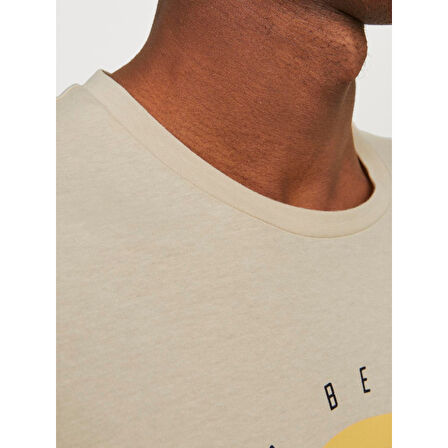 JJSUMMER VIBE TEE SS CREW NECK LN ERKEK T-SHIRT