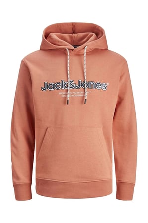 Kapşonlu Sweatshirt