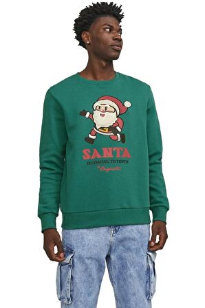 Jack & Jones Erkek Sweatshirts 12247523