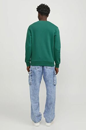 Jack & Jones Erkek Sweatshirts 12247523