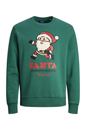 Jack & Jones Erkek Sweatshirts 12247523