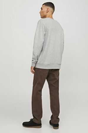 Jack & Jones Erkek Sweatshirts 12247523