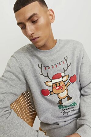 Jack & Jones Erkek Sweatshirts 12247523