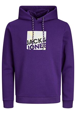 JACK&JONES JCOLOGAN SWEAT HOOD AW23 MOR