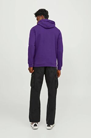 JACK&JONES JCOLOGAN SWEAT HOOD AW23 MOR