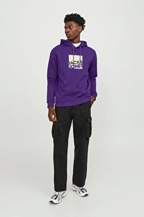 JACK&JONES JCOLOGAN SWEAT HOOD AW23 MOR