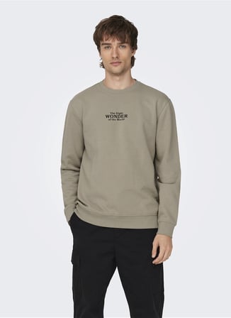 Only & Sons O Yaka Açık Kahve Erkek Sweatshırt 22027894_ONSCELEBRITY REG CREW NECK
