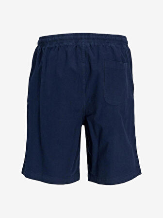Jack&Jones Jpstkarl Jjsummer Erkek Şort