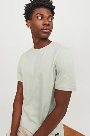 JACK&JONES JJENOA TEE SS CREW NECK NOOS 12113648 MİNT