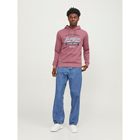 JJELOGO HOOD 2 COL 23/24 ERKEK SWEAT