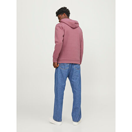 JJELOGO HOOD 2 COL 23/24 ERKEK SWEAT