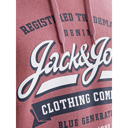 JJELOGO HOOD 2 COL 23/24 ERKEK SWEAT