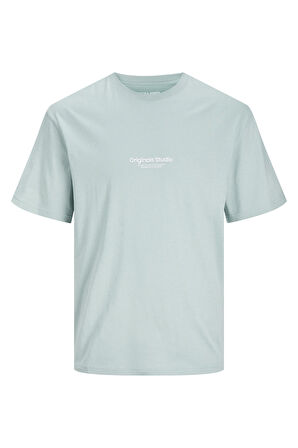 Jack & Jones Erkek T Shirt 12240121